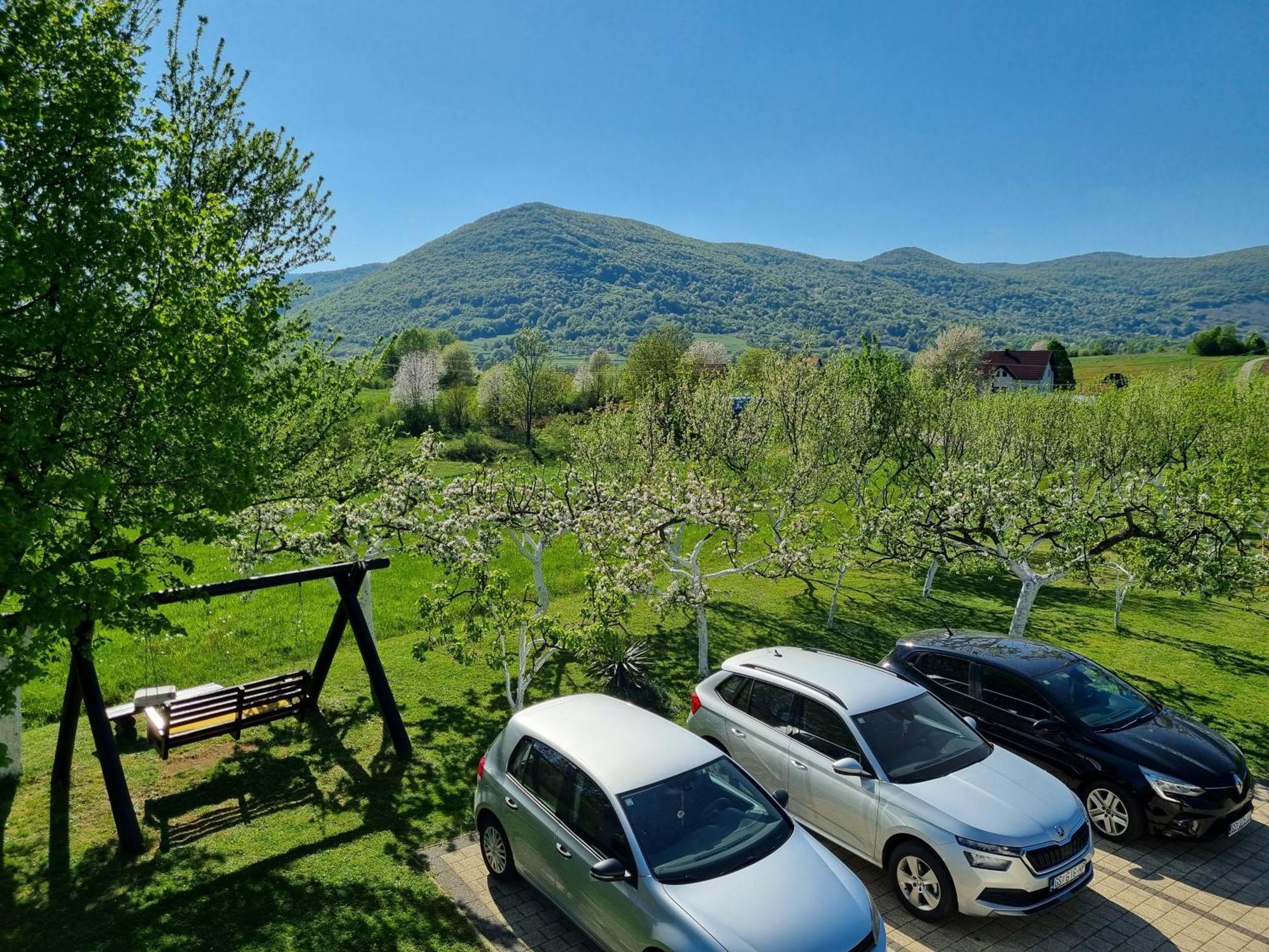 Apartment Rosandic Smoljanac Exteriér fotografie